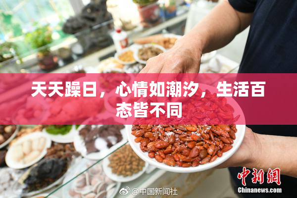 天天躁日，心情如潮汐，生活百态皆不同