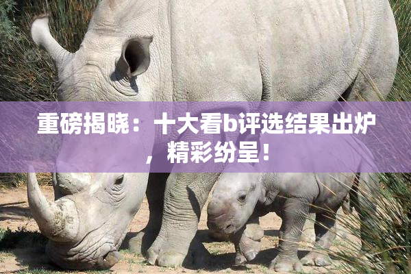 重磅揭晓：十大看b评选结果出炉，精彩纷呈！