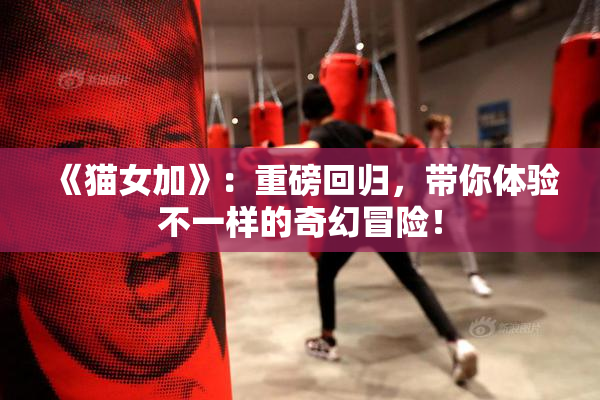 《猫女加》：重磅回归，带你体验不一样的奇幻冒险！