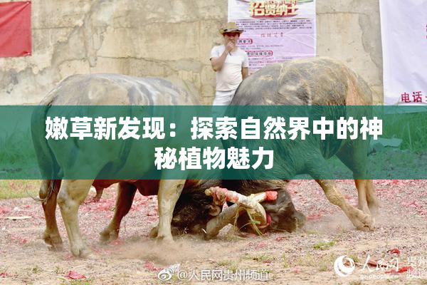 嫩草新发现：探索自然界中的神秘植物魅力