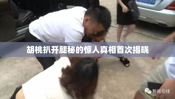胡桃扒开腿秘的惊人真相首次揭晓