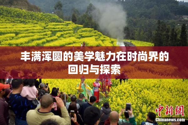 丰满浑圆的美学魅力在时尚界的回归与探索