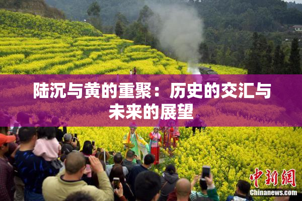 陆沉与黄的重聚：历史的交汇与未来的展望