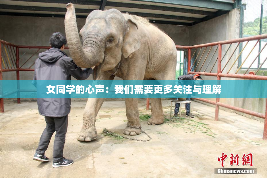 女同学的心声：我们需要更多关注与理解