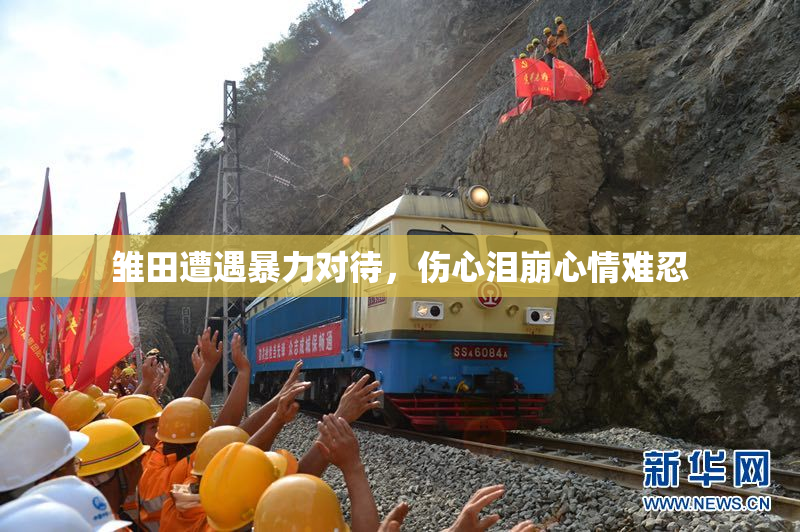 雏田遭遇暴力对待，伤心泪崩心情难忍
