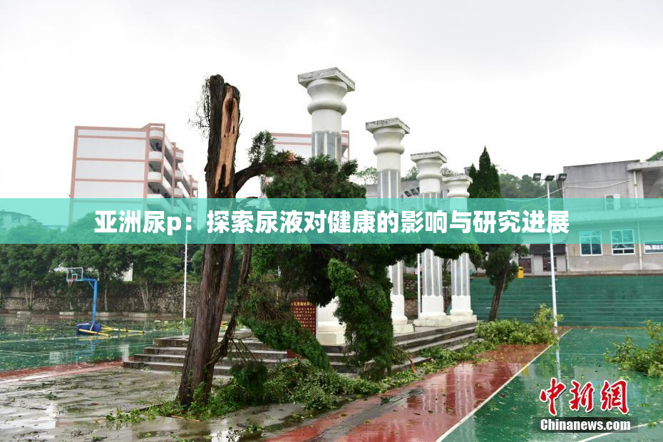 亚洲尿p：探索尿液对健康的影响与研究进展