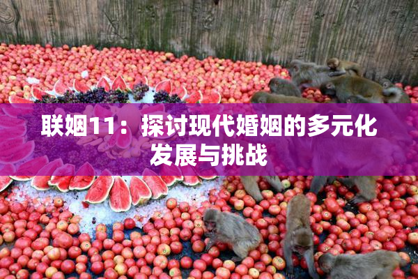 联姻11：探讨现代婚姻的多元化发展与挑战