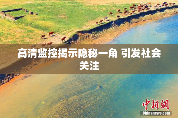 高清监控揭示隐秘一角 引发社会关注