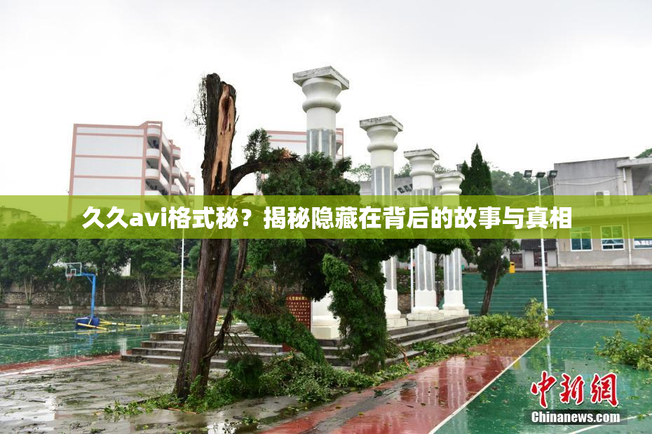 久久avi格式秘？揭秘隐藏在背后的故事与真相
