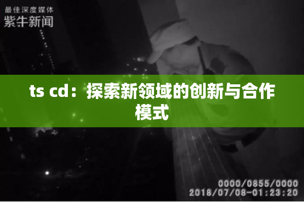 ts cd：探索新领域的创新与合作模式