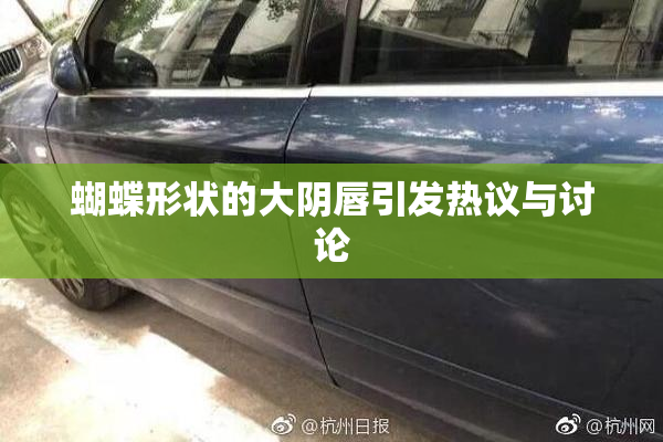 蝴蝶形状的大阴唇引发热议与讨论