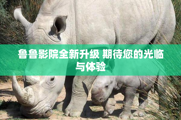 鲁鲁影院全新升级 期待您的光临与体验