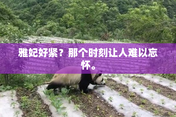 雅妃好紧？那个时刻让人难以忘怀。
