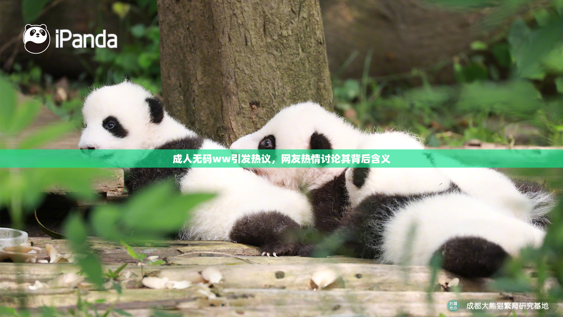 成人无码ww引发热议，网友热情讨论其背后含义