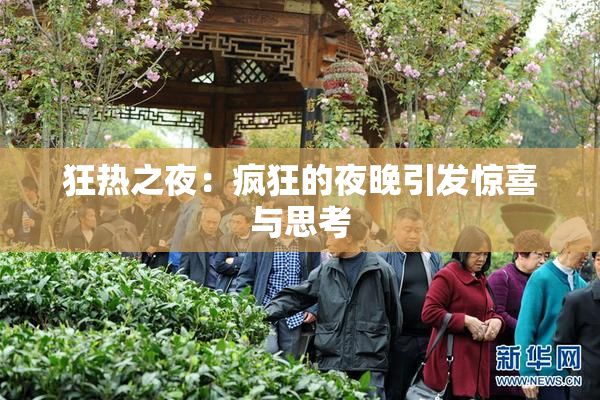 狂热之夜：疯狂的夜晚引发惊喜与思考