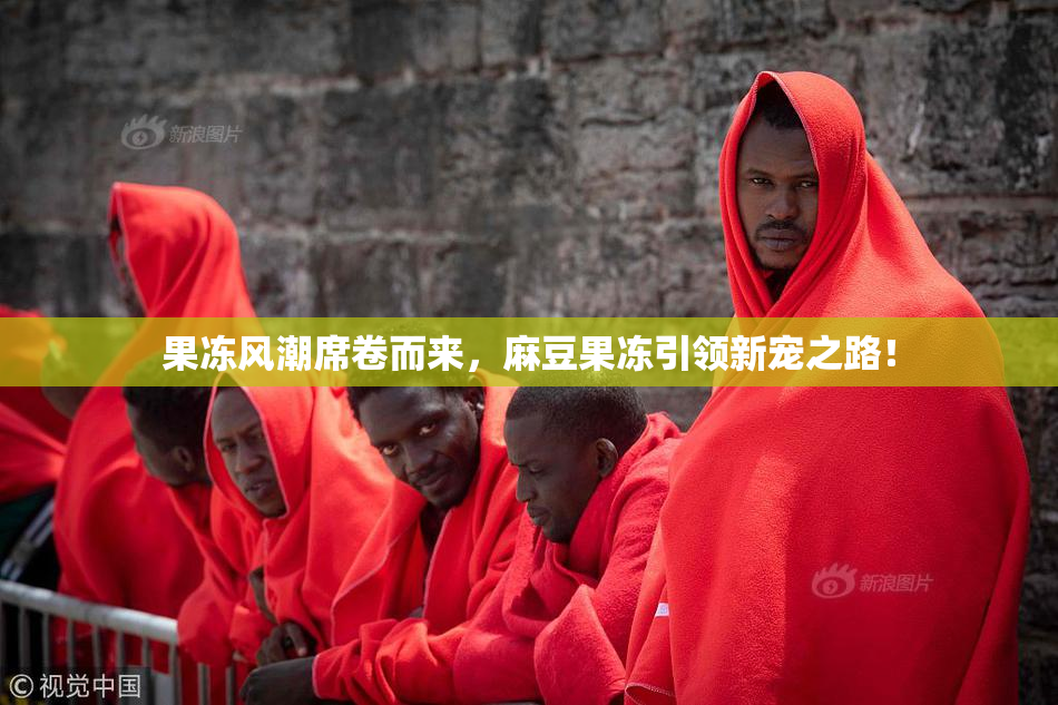 果冻风潮席卷而来，麻豆果冻引领新宠之路！