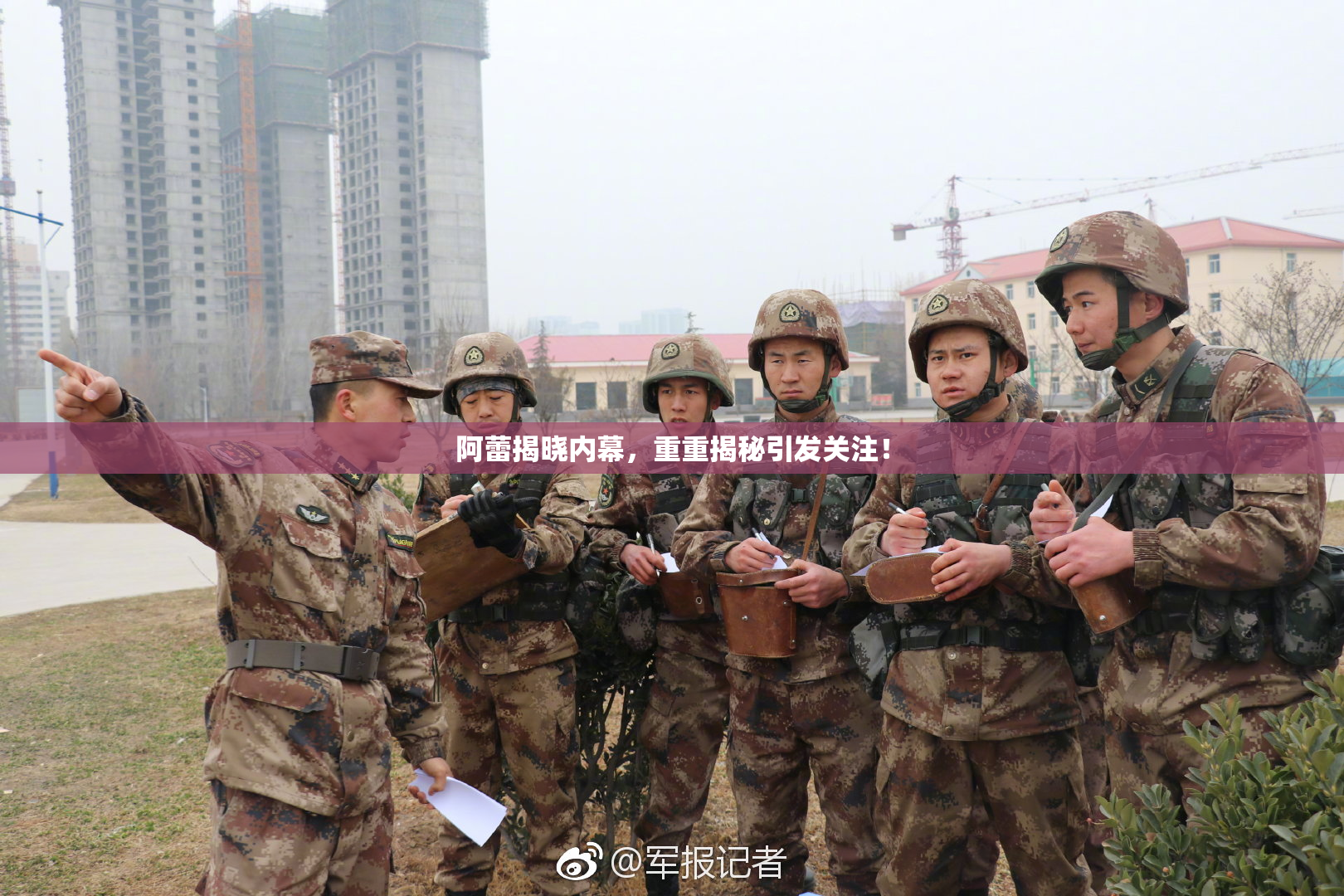 阿蕾揭晓内幕，重重揭秘引发关注！