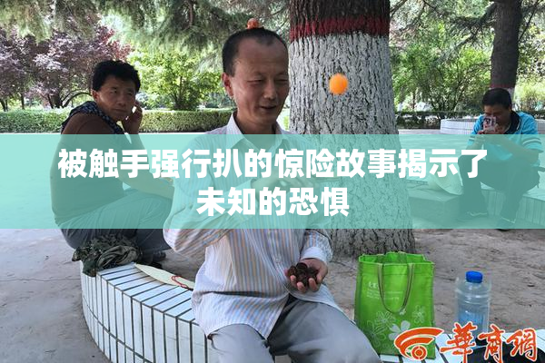 被触手强行扒的惊险故事揭示了未知的恐惧