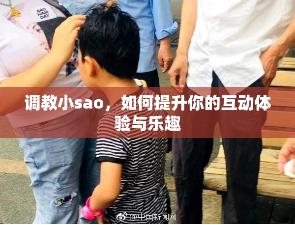 调教小sao，如何提升你的互动体验与乐趣