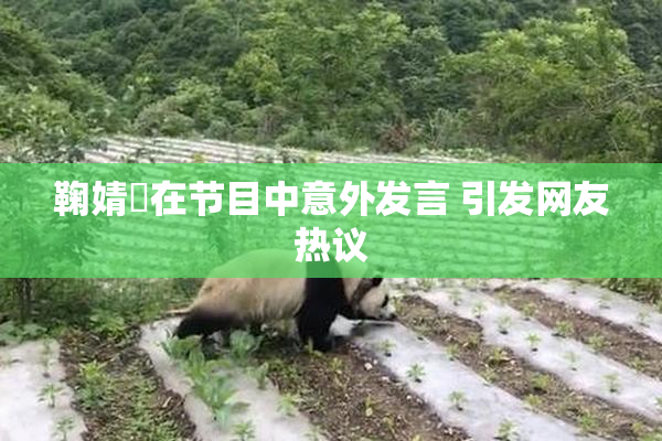 鞠婧祎在节目中意外发言 引发网友热议