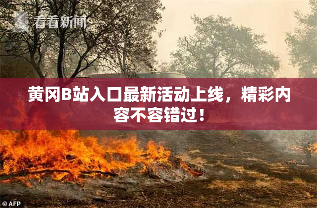 黄冈B站入口最新活动上线，精彩内容不容错过！
