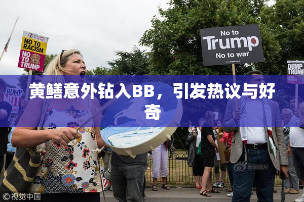黄鳝意外钻入BB，引发热议与好奇