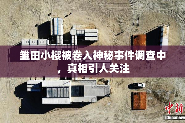 雏田小樱被卷入神秘事件调查中，真相引人关注