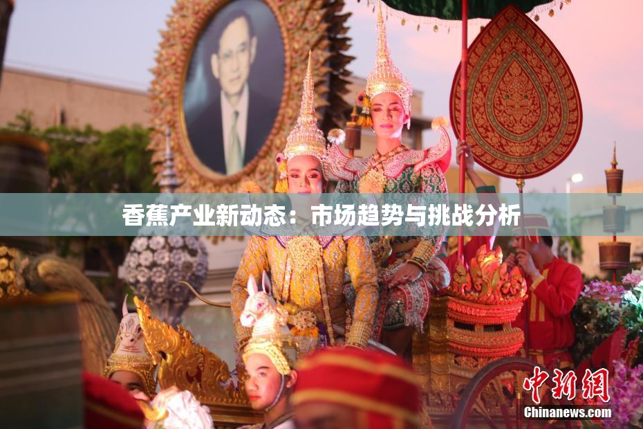 香蕉产业新动态：市场趋势与挑战分析