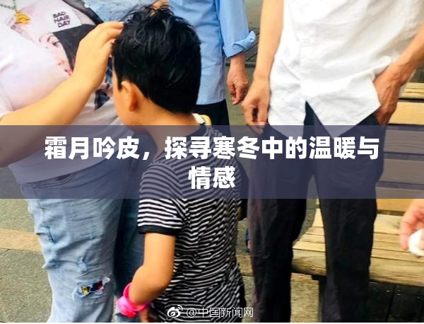 霜月吟皮，探寻寒冬中的温暖与情感
