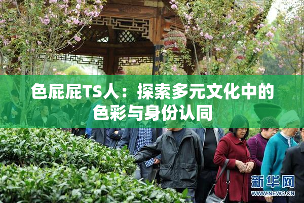 色屁屁TS人：探索多元文化中的色彩与身份认同