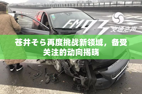 苍井そら再度挑战新领域，备受关注的动向揭晓