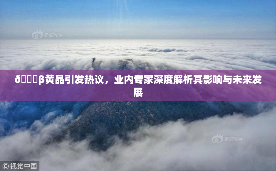🔞β黄品引发热议，业内专家深度解析其影响与未来发展