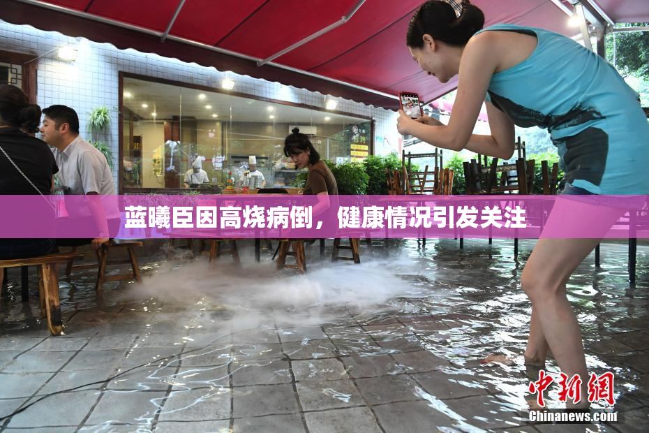 蓝曦臣因高烧病倒，健康情况引发关注
