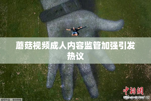 蘑菇视频成人内容监管加强引发热议