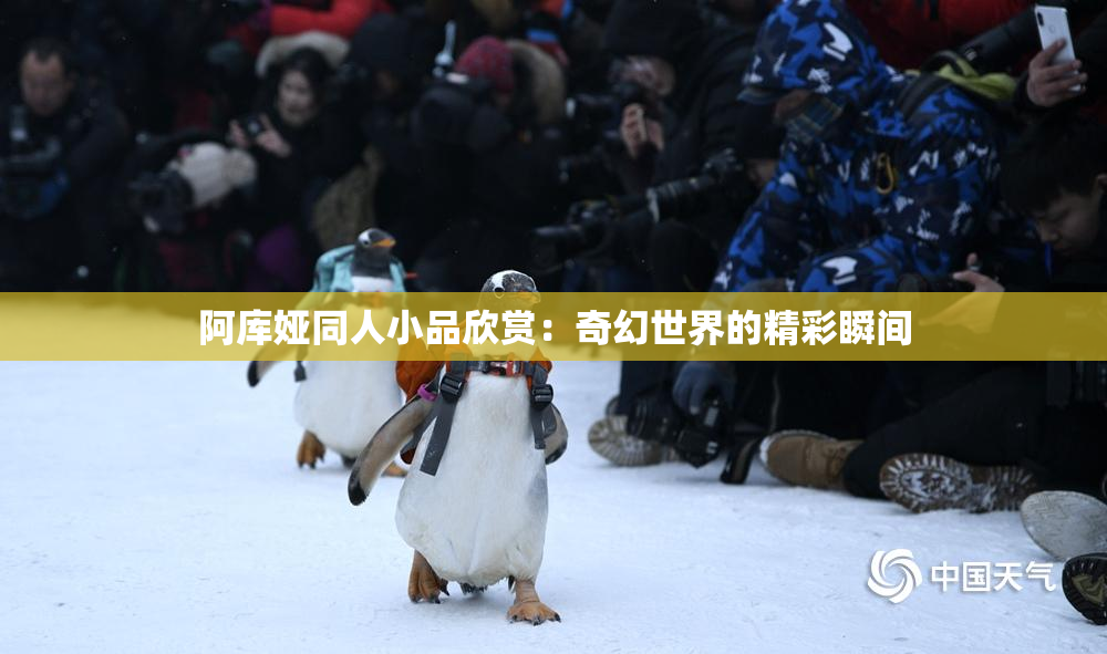 阿库娅同人小品欣赏：奇幻世界的精彩瞬间