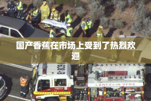 国产香蕉在市场上受到了热烈欢迎