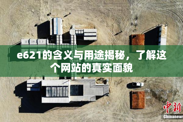 e621的含义与用途揭秘，了解这个网站的真实面貌