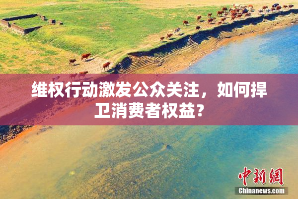 维权行动激发公众关注，如何捍卫消费者权益？