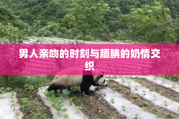 男人亲吻的时刻与腼腆的奶情交织