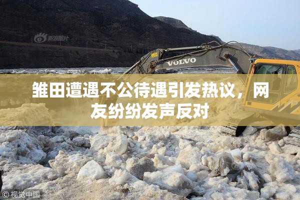 雏田遭遇不公待遇引发热议，网友纷纷发声反对