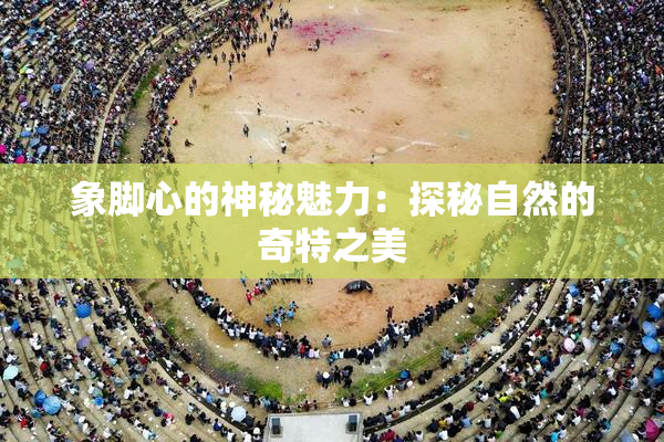 象脚心的神秘魅力：探秘自然的奇特之美