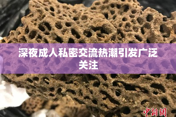 深夜成人私密交流热潮引发广泛关注