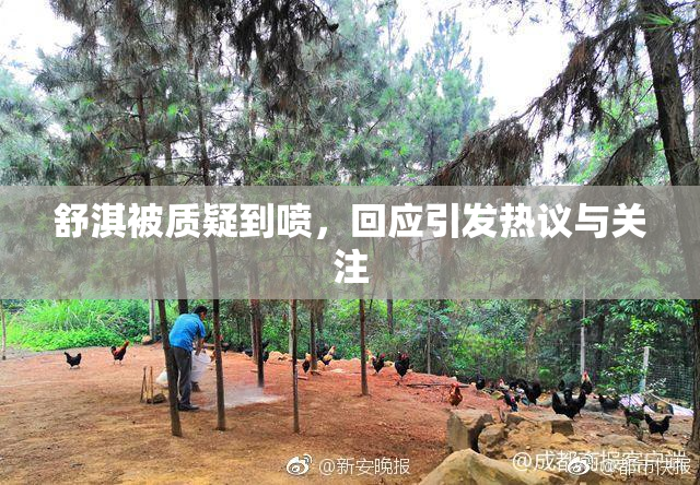 舒淇被质疑到喷，回应引发热议与关注