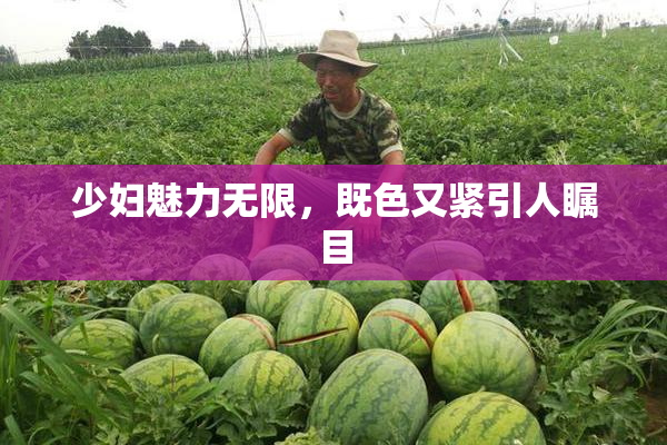 少妇魅力无限，既色又紧引人瞩目