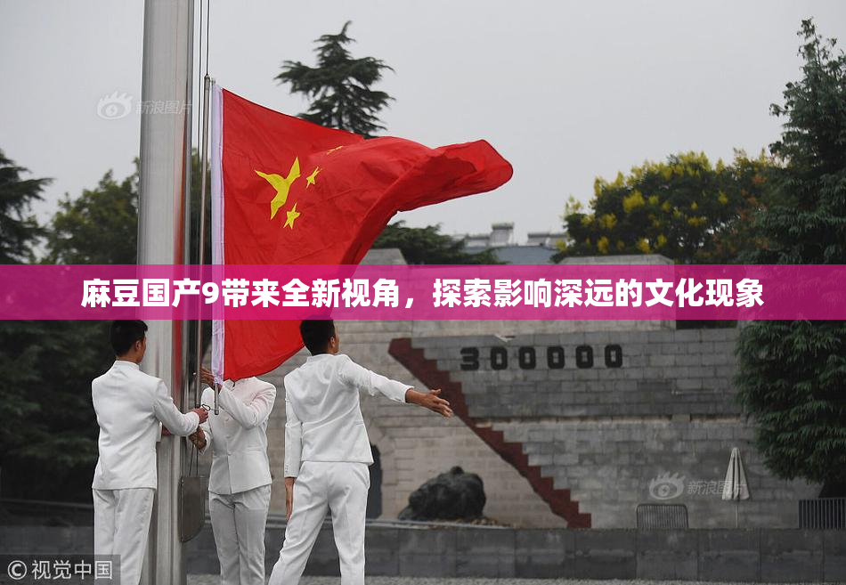 麻豆国产9带来全新视角，探索影响深远的文化现象