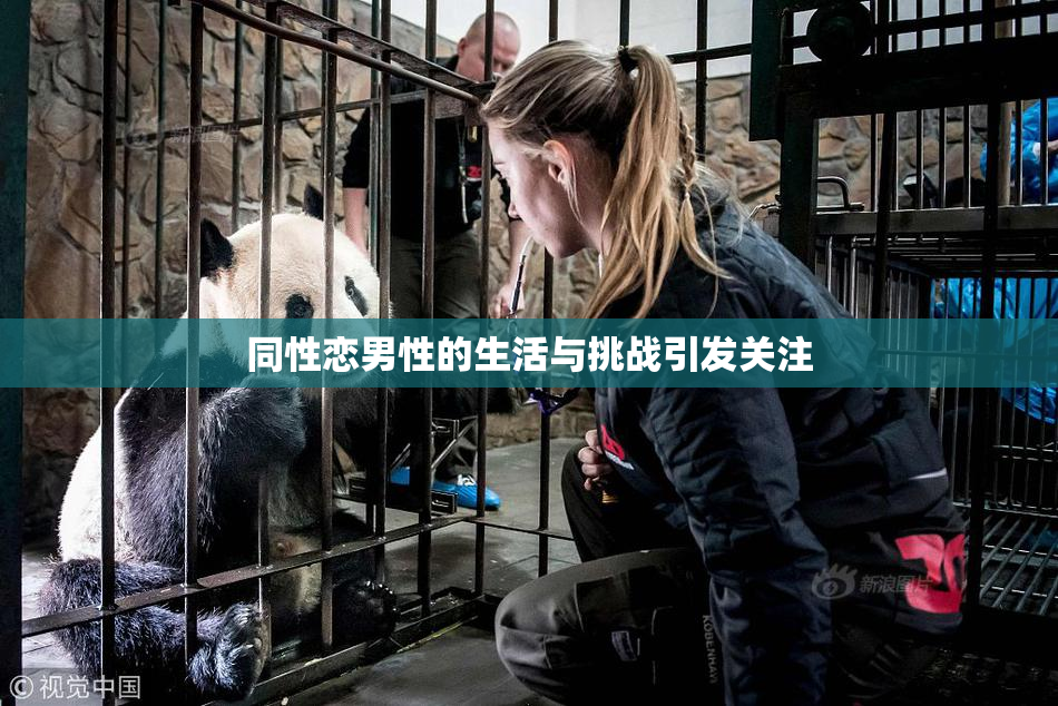 同性恋男性的生活与挑战引发关注