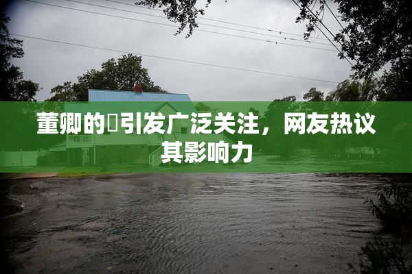 董卿的婬引发广泛关注，网友热议其影响力