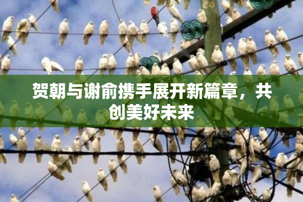 贺朝与谢俞携手展开新篇章，共创美好未来