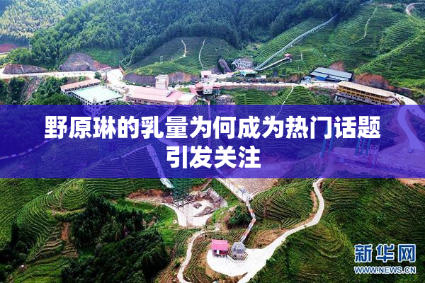 野原琳的乳量为何成为热门话题引发关注