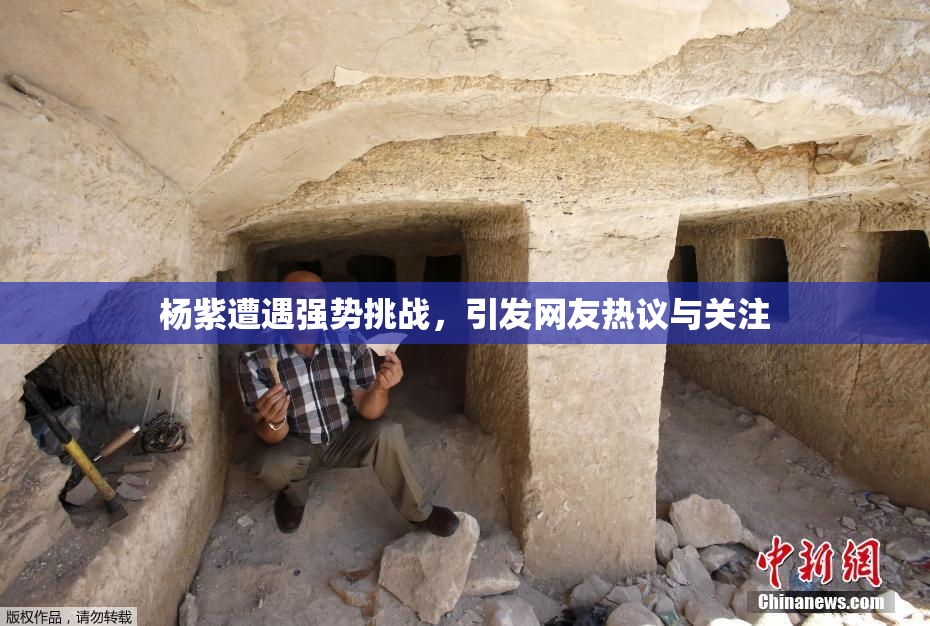 杨紫遭遇强势挑战，引发网友热议与关注
